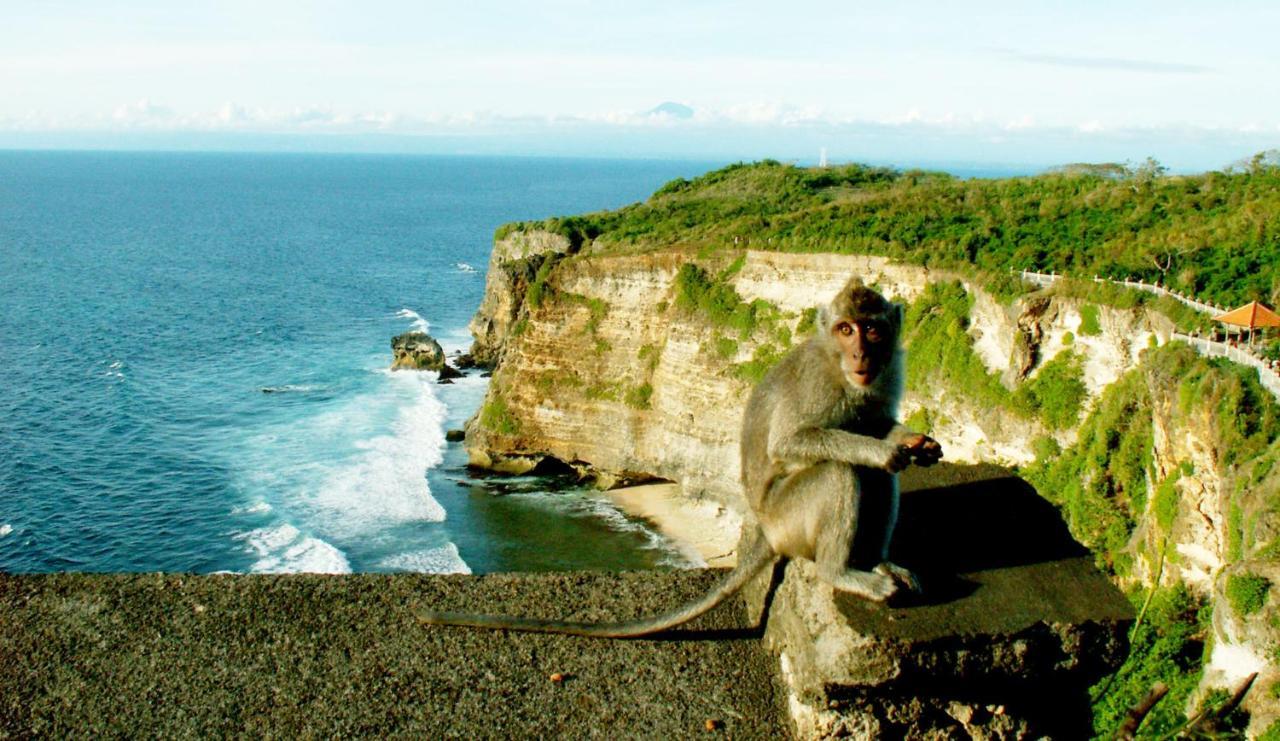 Villa Hakuna Matata Bali *